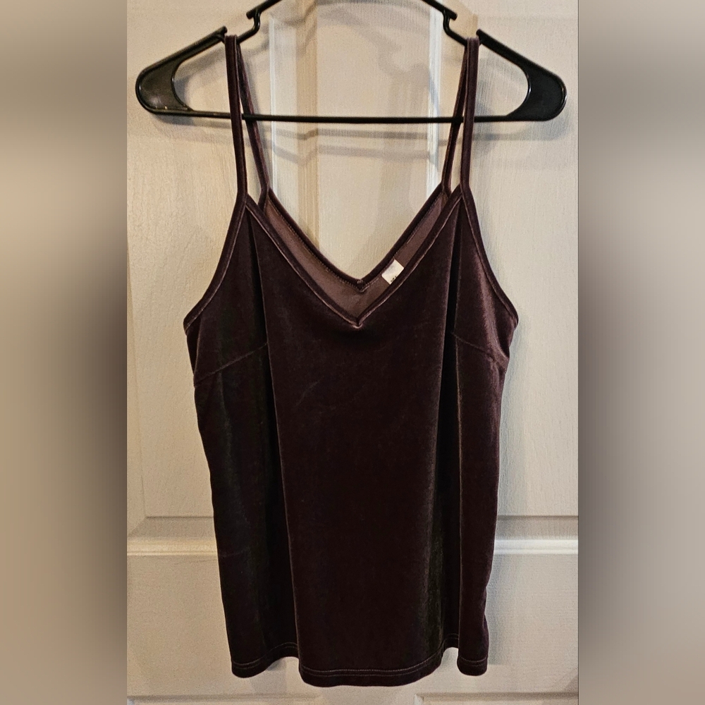 Purple/plum velvet tank top.